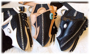 �V�U�[�P�[�X��{�M�������[